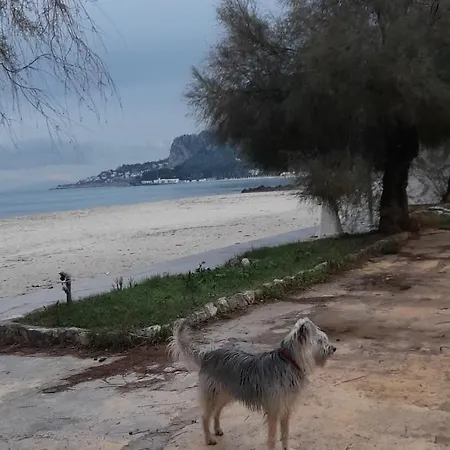 La Comodita A Due Passi Dal Mare Di Prázdninový dům *