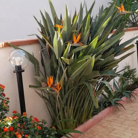 La Comodita A Due Passi Dal Mare Di Prázdninový dům Mondello