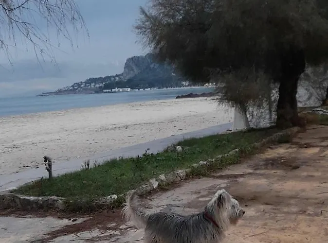 La Comodita A Due Passi Dal Mare Di Feriehus *