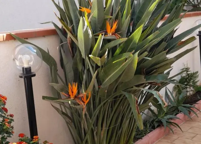 La Comodita A Due Passi Dal Mare Di Feriehus Mondello